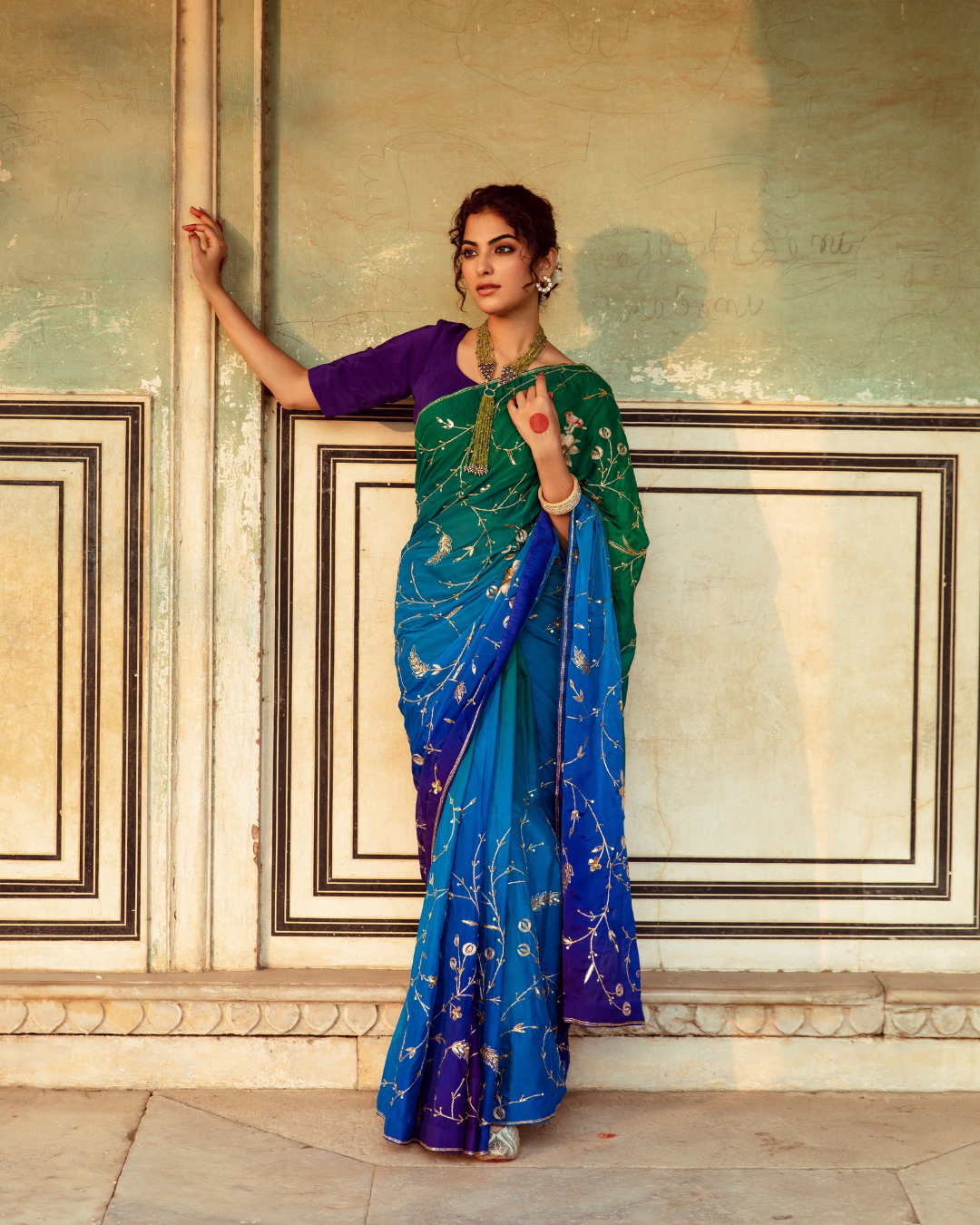 Embroidered Shaded Chiffon Sari
