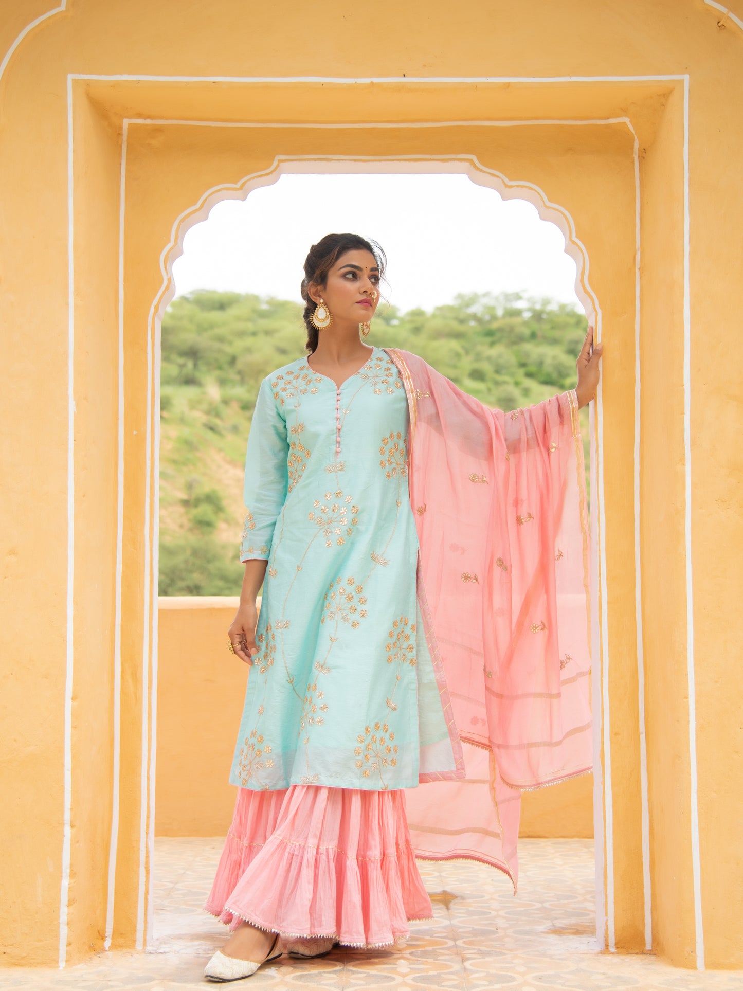 Noor Neel Gulabi Sharara Set