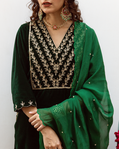 Roya Panna - Velvet Embroidered Suit Set