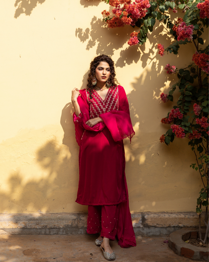 Roya Gulabi - Velvet Embroidered Suit Set