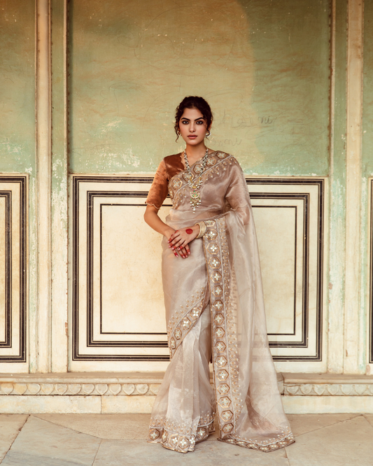 Antique Silver Embroidered Tissue Silk Sari